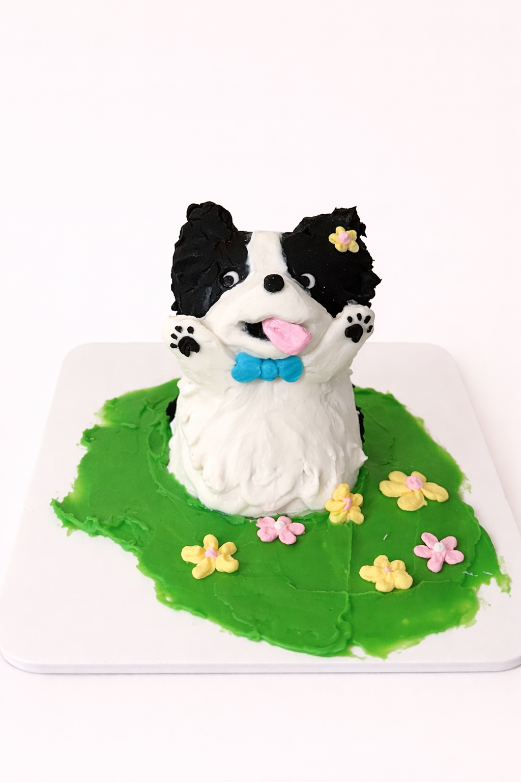 Pet Pose Cake Customized