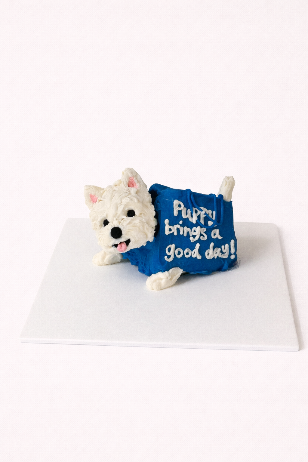 Baggy Doggy